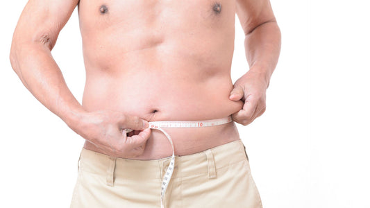 metabolismo lento