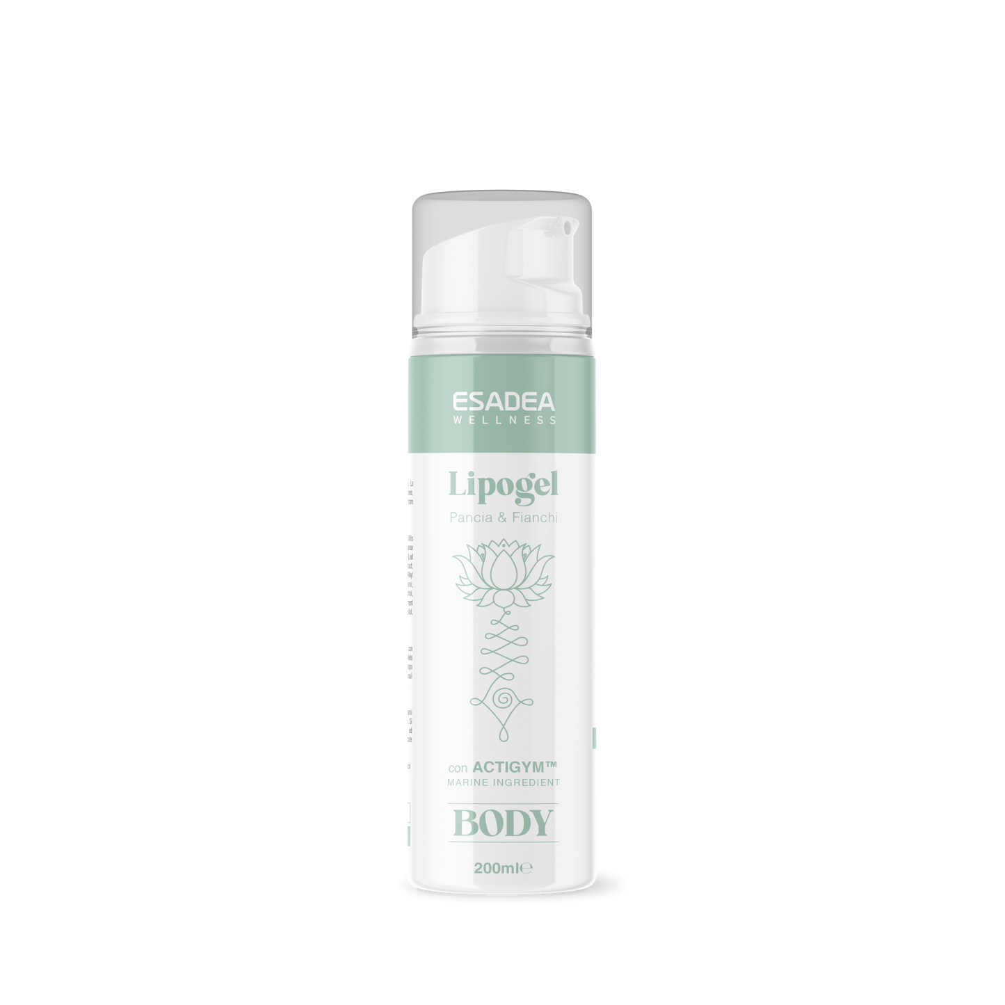 Lipo Gel con Actigym™ e Fosfatidilcolina – Pancia e Fianchi